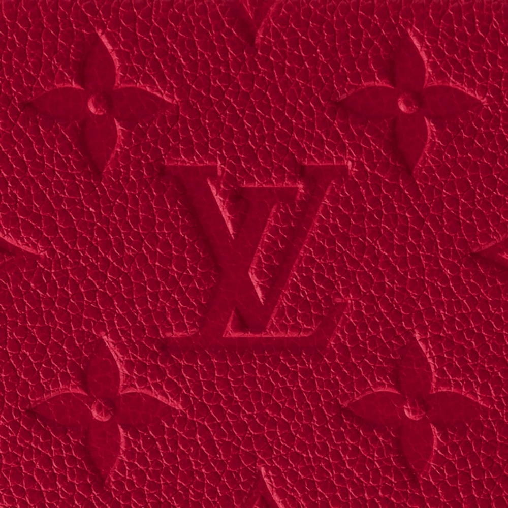 Brand new Louis Vuitton cross body purse